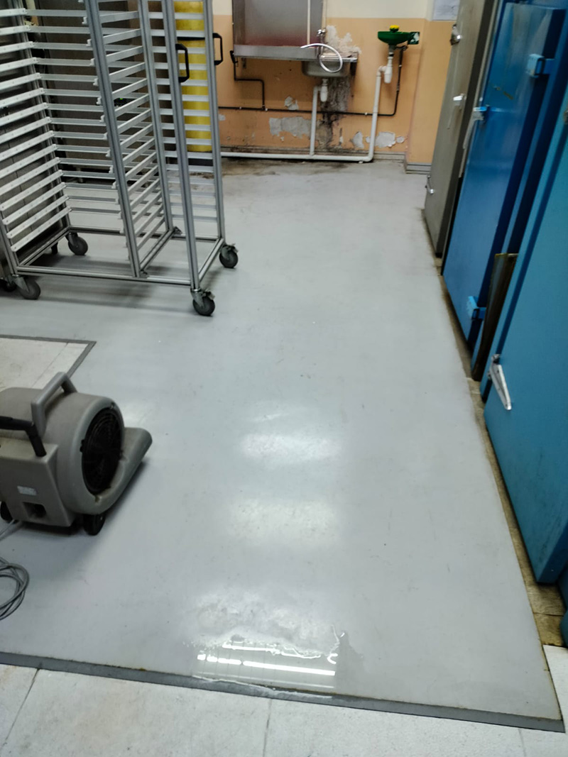 14-800px