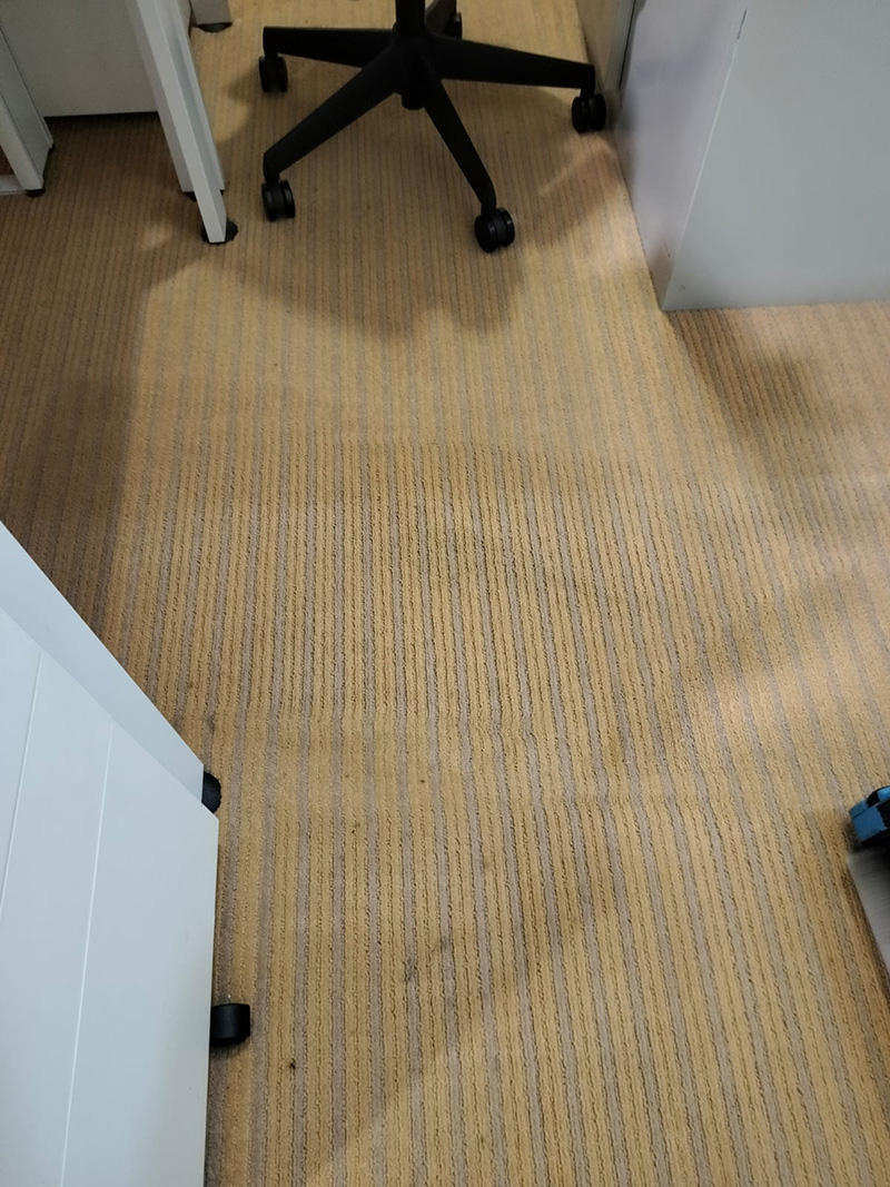 7-800px